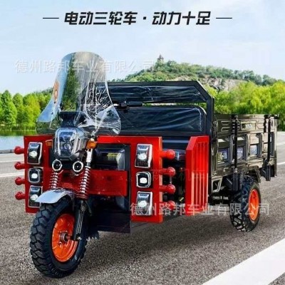 電動(dòng)三輪車三輪車家用貨運(yùn)三輪摩托車三輪電動(dòng)車電動(dòng)摩托車